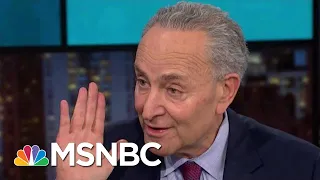 Sen. Chuck Schumer On Trump's Call For A Senate Trial: 'Well, Good!' | Rachel Maddow | MSNBC