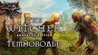 The Witcher (Ведьмак) ► Темноводье ● Стрим №13