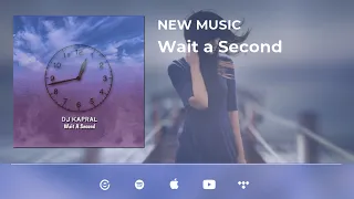 Dj Kapral - Wait A Second