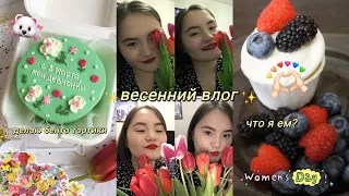 vlog 🌷делаю бенто тортики💃будни кондитера