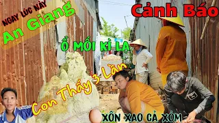 An Giang Dậy Sóng Người Ẩn Bên Trong Ổ Mối Kì Lạ Không Chịu Ra,Đồng Nai Nổ Bình Hơi