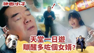 神耆小子第十六集劇情｜天堂一日遊 瞓醒多咗個女婿？ (Eng／繁／簡字幕)｜愛情｜鄭則士｜蕭正楠｜冼靖峰Archie｜傅嘉莉｜羅毓儀Yuki｜溫情喜劇｜TVB港劇