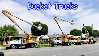 Five BUCKET TRUCKS in Action｜Tree Trimming Crew (Tree Surgeon) At Work (Part 2/2)