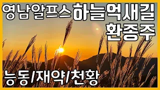 영남알프스 하늘억새길 환종주 | 능동/천황/재약 등산 가이드