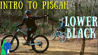 Squatch Bikes Trail Guide: Thrift Cove to LOWER BLACK MOUNTAIN TRAIL | Pisgah National Forest