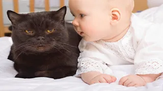 What Happens When Babies Talk To Cats?