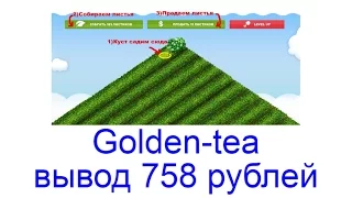 Golden tea - как играть в игру, вывод 758 рублей с голден ти