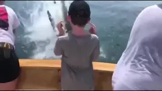 Great White Shark Surprise