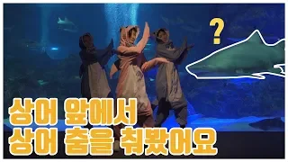 [아기상어댄스] 상어앞에서 상어옷을 입고 상어춤을 춰봤습니다! Baby Shark Song Dance in Coex 키즈댄스놀이