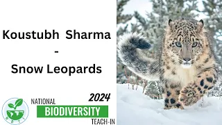 Koustubh Sharma- Snow Leopards