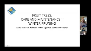 Fruit Trees:  Care, Maintenance and Winter Pruning