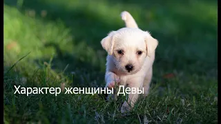 Характер женщины Девы