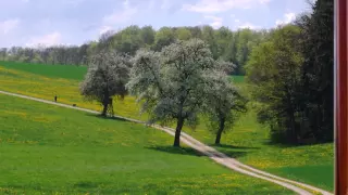 Я жду тебя, сынок! (Видео на заказ из ваших фотографий)