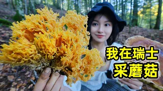 Picking mushrooms in Switzerland, 300 yuan a pound shaped like gold coral, you dare to eat?