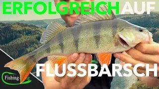 5 TIPPS fürs BARSCHANGELN vom Ufer | Fishing-King.de