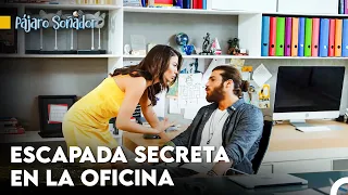 ¿Puedes Soportar Que Me Acerque Tanto A Ti? - Pájaro Soñador Capitulo