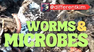 MICROBES & WORMS Can RELEASE Minerals For Your PLANTS