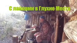 Взял Свою молодую Банду и пошёл на Рёв Изюбра...