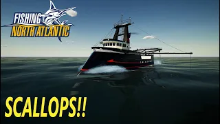 SCALLOPS!!!! - Fishing North Atlantic