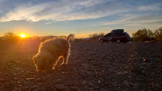 Full-Time Living On The Road in a Minivan Camper | Lazy days in the Arizona desert. (Quartzsite)