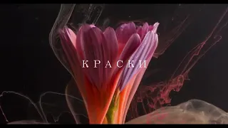 slowed - краски/feduk