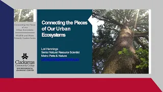 Connecting the Pieces of Our Urban Ecosystems | Wildlife & Water Friendly Garden Series 2024