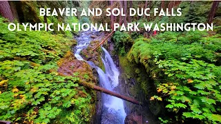 BEAVER AND SOL DUC FALLS OLYMPIC NATIONAL PARK WASHINGTON