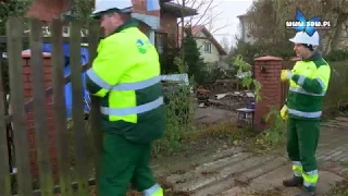 Sprzątanie posesji kolekcjonera śmieci | Jaworzno