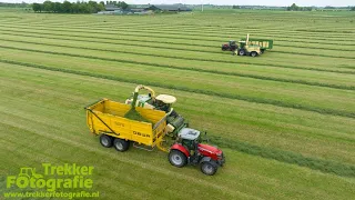 Gras hakselen | Chopping grass | Grassilage | Beute | Krone | Massey Ferguson | JCB | DEWA