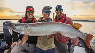 Search For A Giant Ontario Musky - FILM