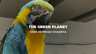 The Green Planet in Dubai / парк Зелёная планета в Дубае