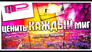 Александр Майоров - Ценить каждый миг