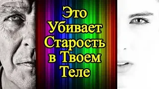 10 убийц старости в твоем теле – Как победить старость, как замедлить старение и стать здоровым