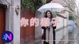 莫叫姐姐 - 你的樣子（女生版）（原唱：林志炫）『不變的你佇立在茫茫的塵世中，聰明的孩子提著易碎的燈籠』【動態歌詞】