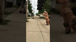 Rollerskating dinosaur