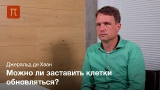 Старение кроветворных стволовых клеток - Джеральд де Хаан