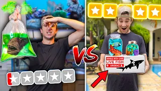 BEST VS WORST RATED MYSTERY FISH BOX! (shark inside)