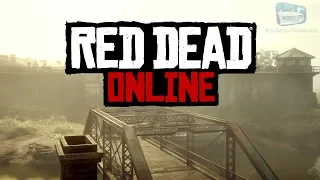 Red Dead Online - Introduction & Tutorial