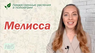 Мелисса: антидепрессивные свойства, механизмы действия  l №5 Лекарственные растения в психиатрии