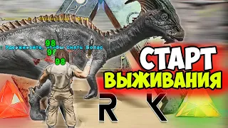 Быстрый СТАРТ на ПВП в ARK? Как ПРОКАЧАТЬСЯ в Начале ВЫЖИВАНИЯ АРК? Ламповый Гайд от Аркера Диего