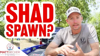 BAITS & PATTERNS - Shad Spawn Bass Fishing