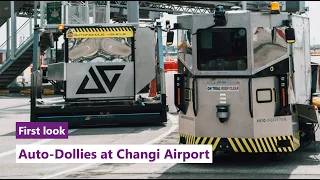 Autonomous Vehicles at Singapore Changi Airport