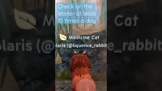How to be an ✨amazing✨ medicine cat in WCUE (joke)