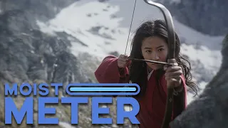 Moist Meter | Mulan