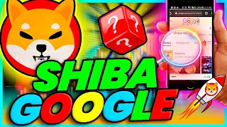 🔥 TIENES QUE SABER ESTO ANTES DE LA QUEMA DE SHIBA INU ⛔ | Noticias SHIB| Criptomonedas Broker Etoro