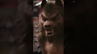 A werewolf in the Supermarket  #shortvideo   #animals #animal