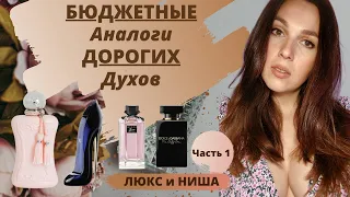 Ароматы клоны | Бюджетные аналоги дорогих ароматов | Похожие ароматы в моей коллекции | 1 Часть