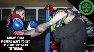 Muay Thai 5 Great Ways to Set up your Opponent Tutorial