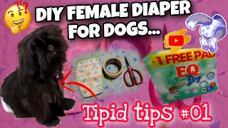 DIY FEMALE DOG DIAPER | Tipid Tips and very Easy #diy #furmom #supportsinglemom #shihtzupuppy #mom