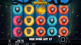 Pragmatic Play 7 Monkeys 24.50€ Freispiele